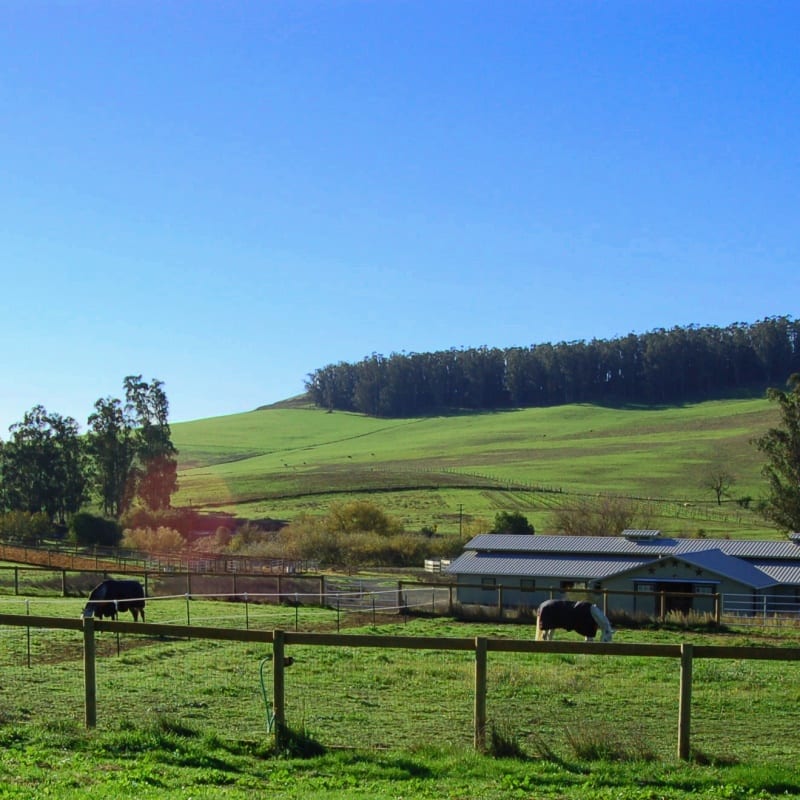 15 acre horse boarding facility in Petaluma