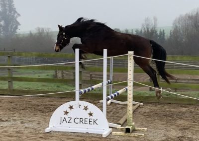 Citrine Free Jump
