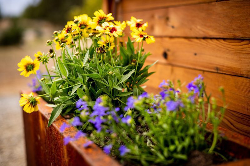 Flower box